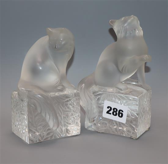 Two Lalique glass cats tallest 14.5cm